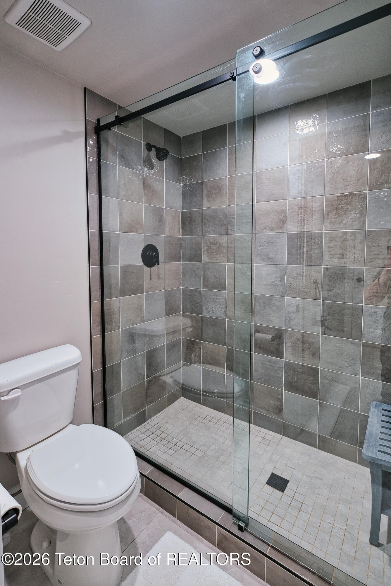 236 Swallowtail Drive Victor, ID 83455 - Photo 34 of 57 Downstairs Guest Shower