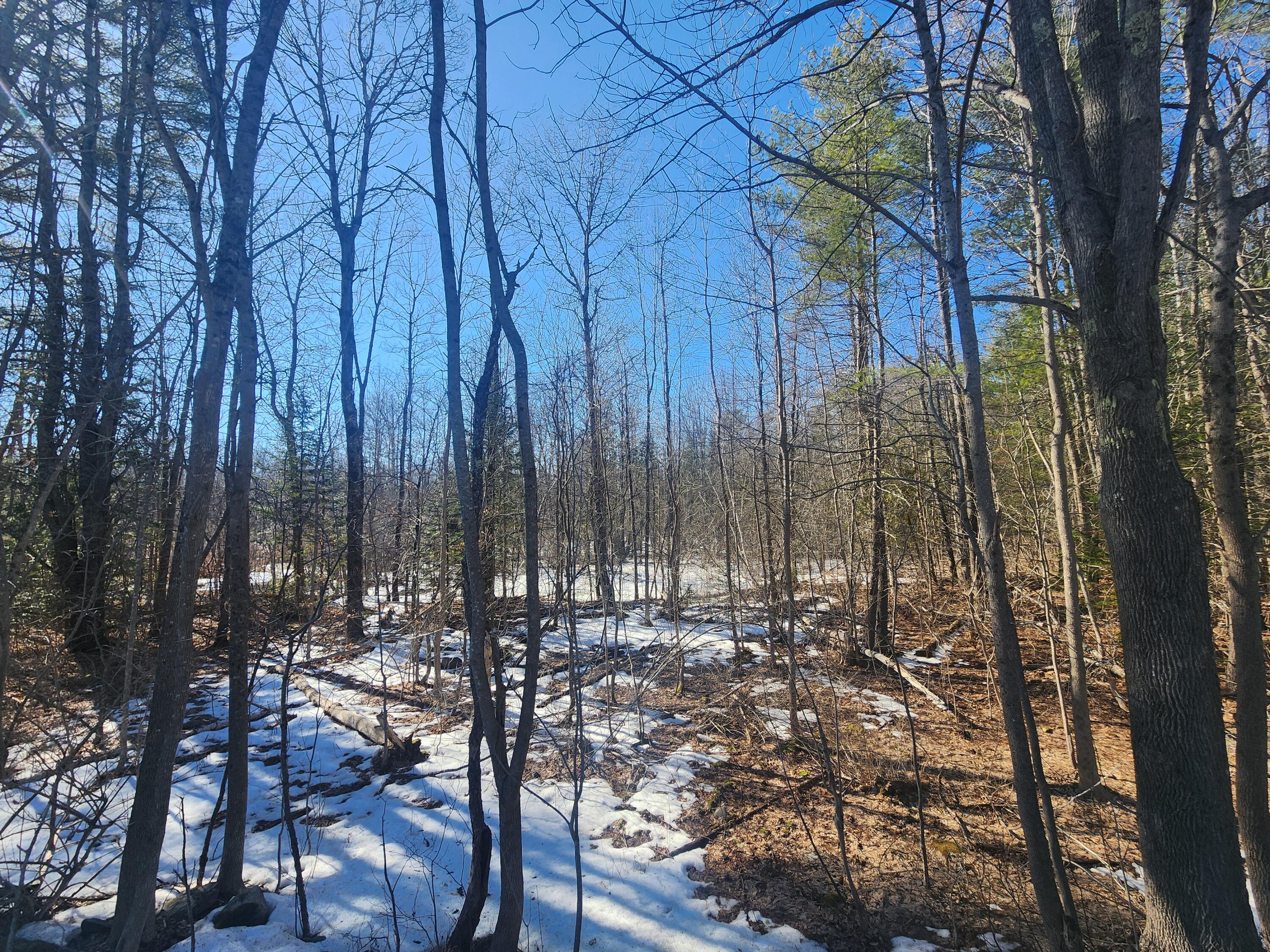 Lot 38 South Reynolds Road Winslow, ME 04901 - Photo 4 of 8 Land/lot