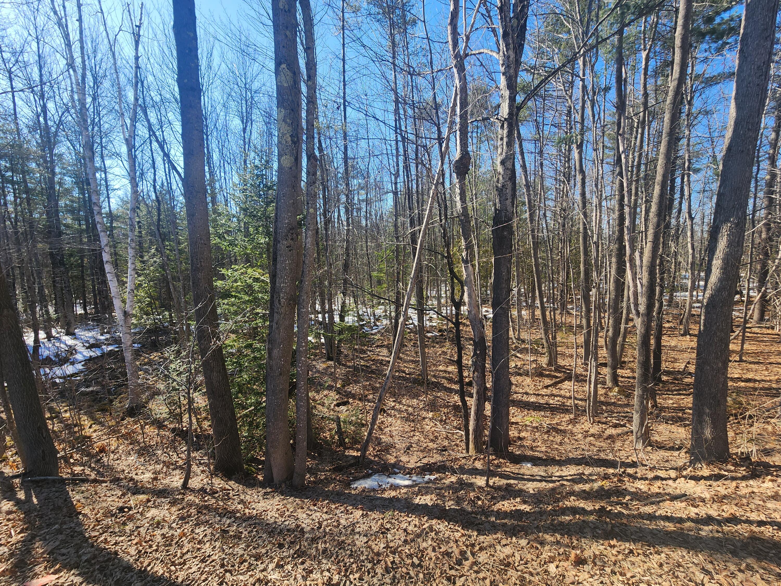 Lot 38 South Reynolds Road Winslow, ME 04901 - Photo 5 of 8 Land/lot