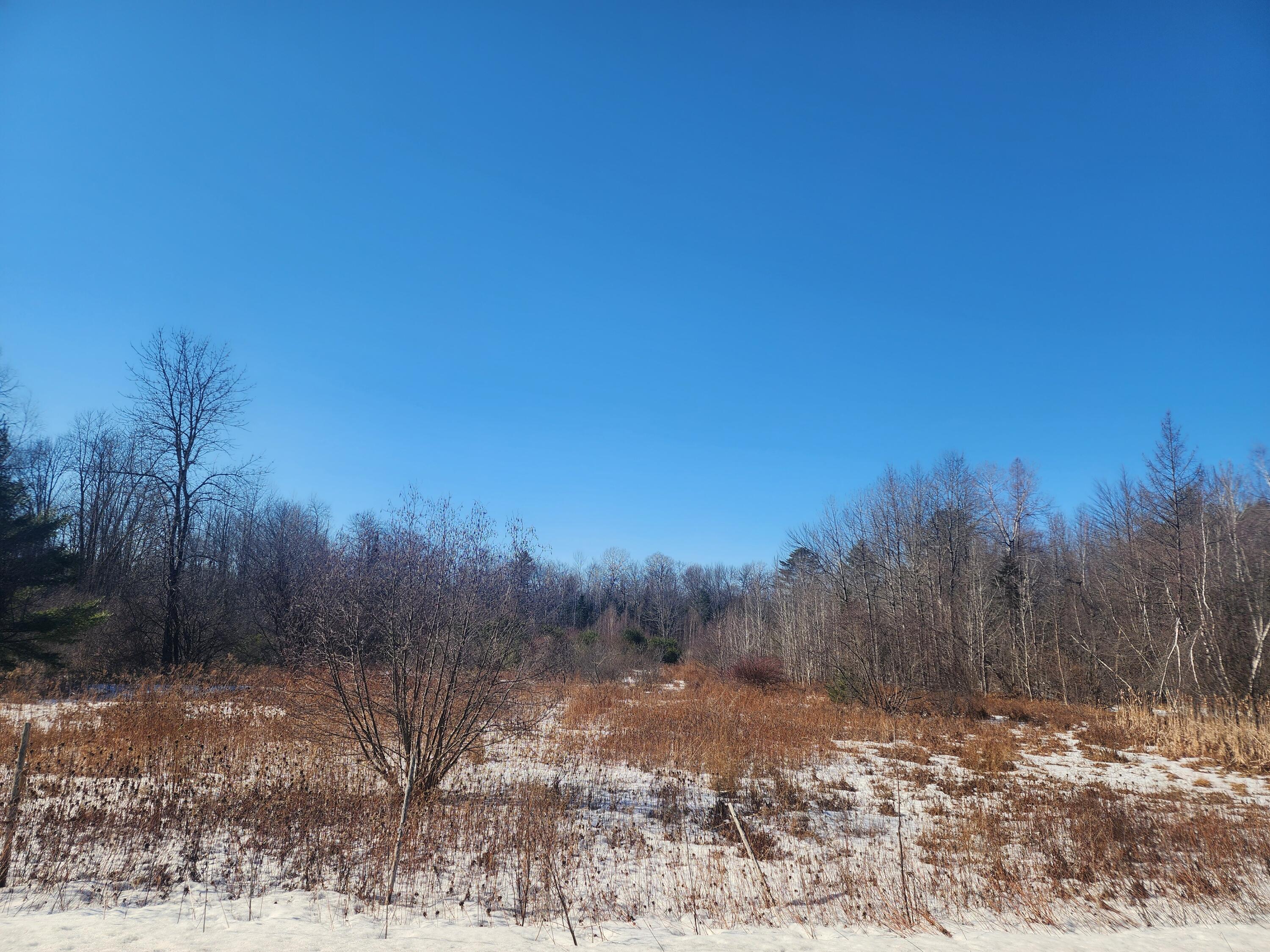 Lot 38 South Reynolds Road Winslow, ME 04901 - Photo 6 of 8 Land/lot