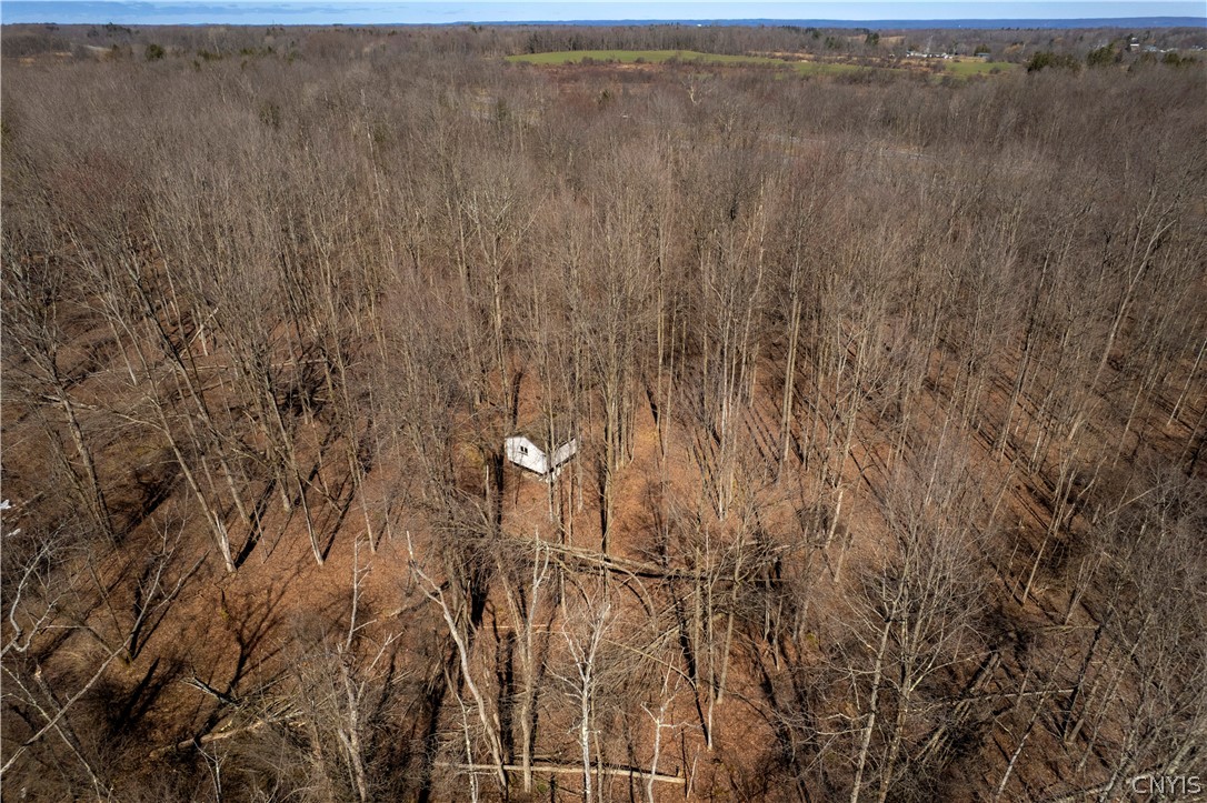 Daily Road Rome, NY 13440 - Photo 6 of 9