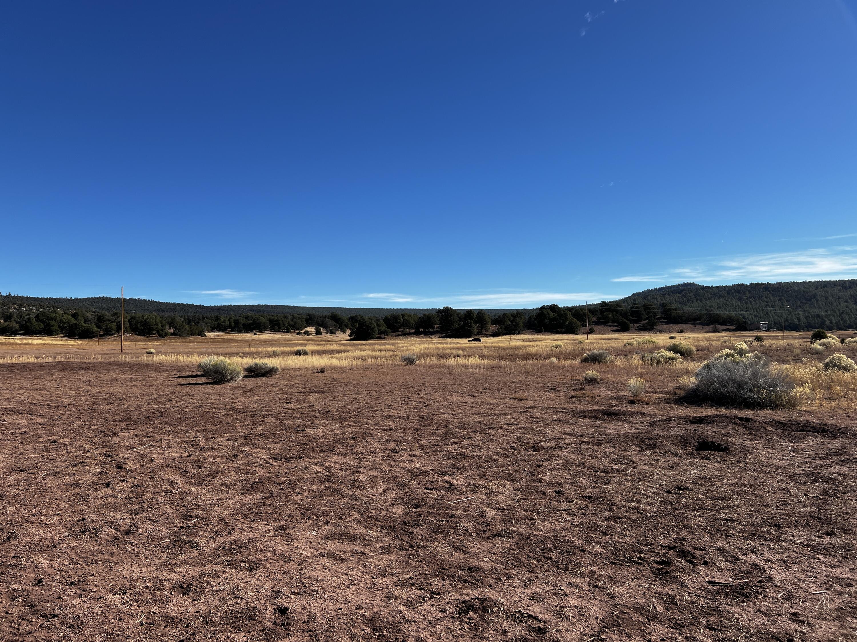 Lot 2 Lot Road Ramah, NM 87321 - Photo 10 of 21 Gallery Image 10