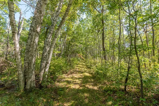 $134,900 | Tract B Tbd Little Pine Road, Brainerd, MN 56401
