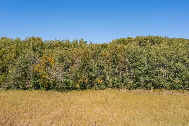 $134,900 | Tract B Tbd Little Pine Road, Brainerd, MN 56401