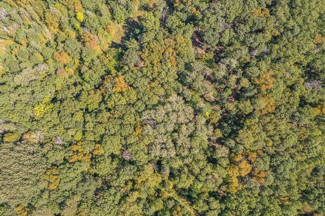 $134,900 | Tract B Tbd Little Pine Road, Brainerd, MN 56401