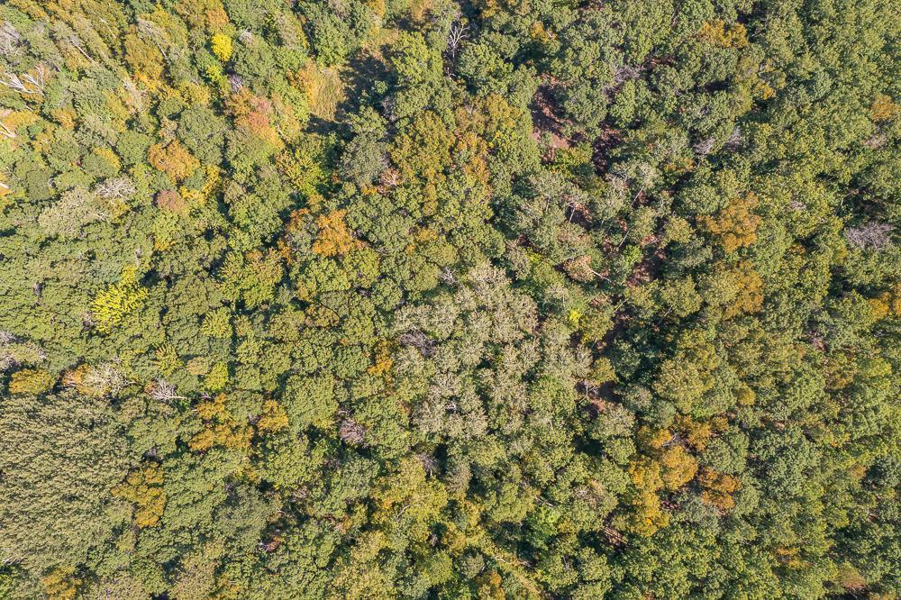 Tract B Tbd Little Pine Road Brainerd, MN 56401 - Photo 18 of 22