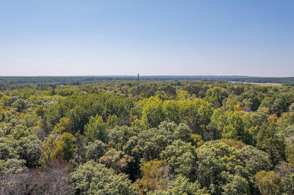 Tract B Tbd Little Pine Road Brainerd, MN 56401 - Photo 19 of 22