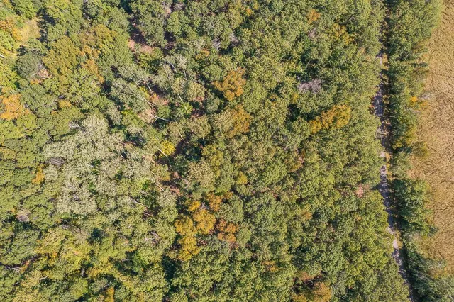 $134,900 | Tract B Tbd Little Pine Road, Brainerd, MN 56401