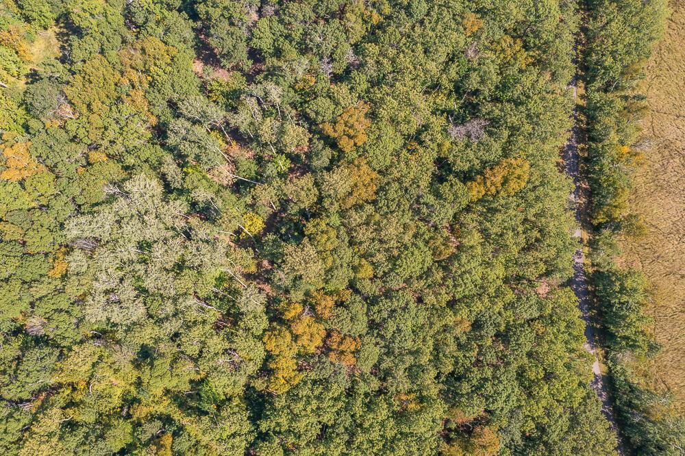 Tract B Tbd Little Pine Road Brainerd, MN 56401 - Photo 6 of 22