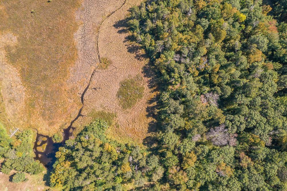 Tract B Tbd Little Pine Road Brainerd, MN 56401 - Photo 7 of 22