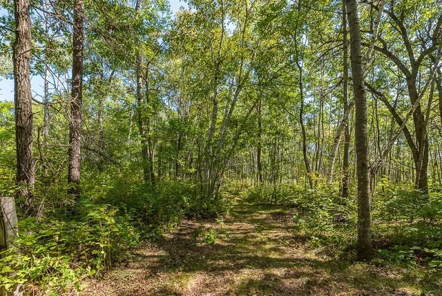 $134,900 | Tract B Tbd Little Pine Road, Brainerd, MN 56401