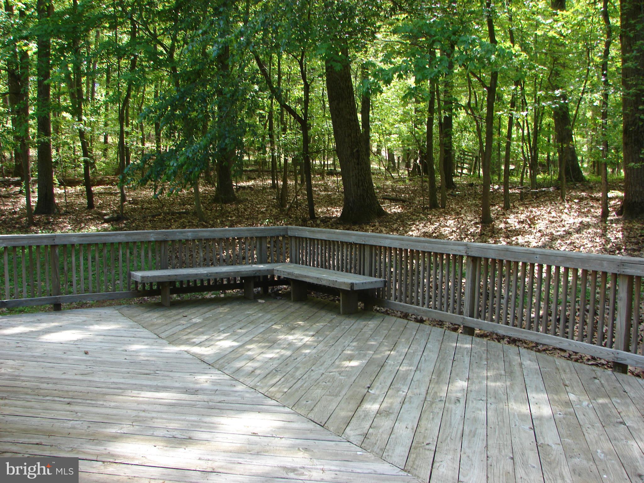 2409 Stone Road Westminster, MD 21158 - Photo 22 of 36 Huge deck in yard surrounded by trees