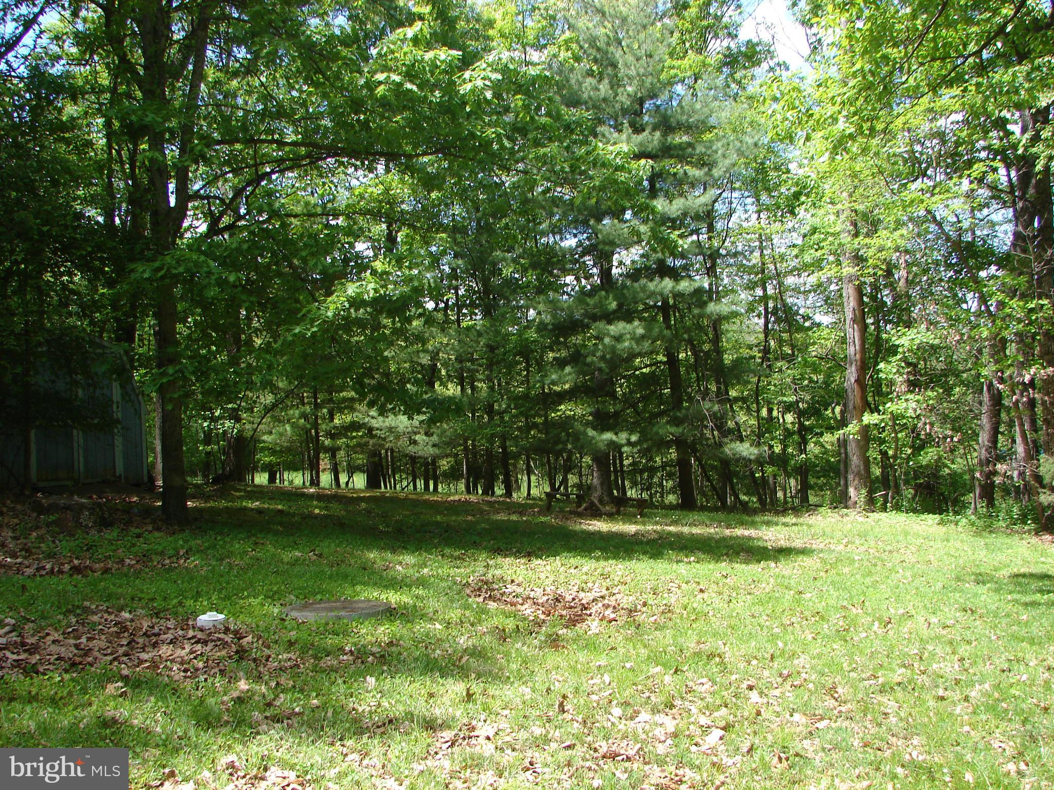 2409 Stone Road Westminster, MD 21158 - Photo 29 of 36 Large clearing on this private lot