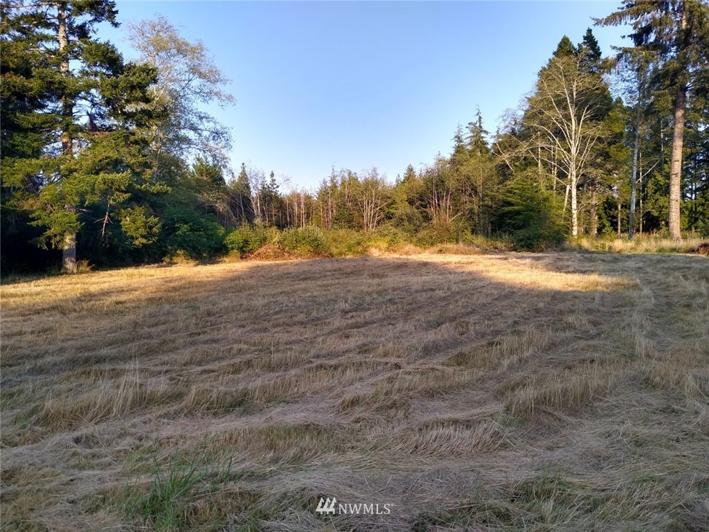 2054 Ocean Beach Road Copalis Crossing, WA 98536 - Photo 4 of 11 Gallery Image 4