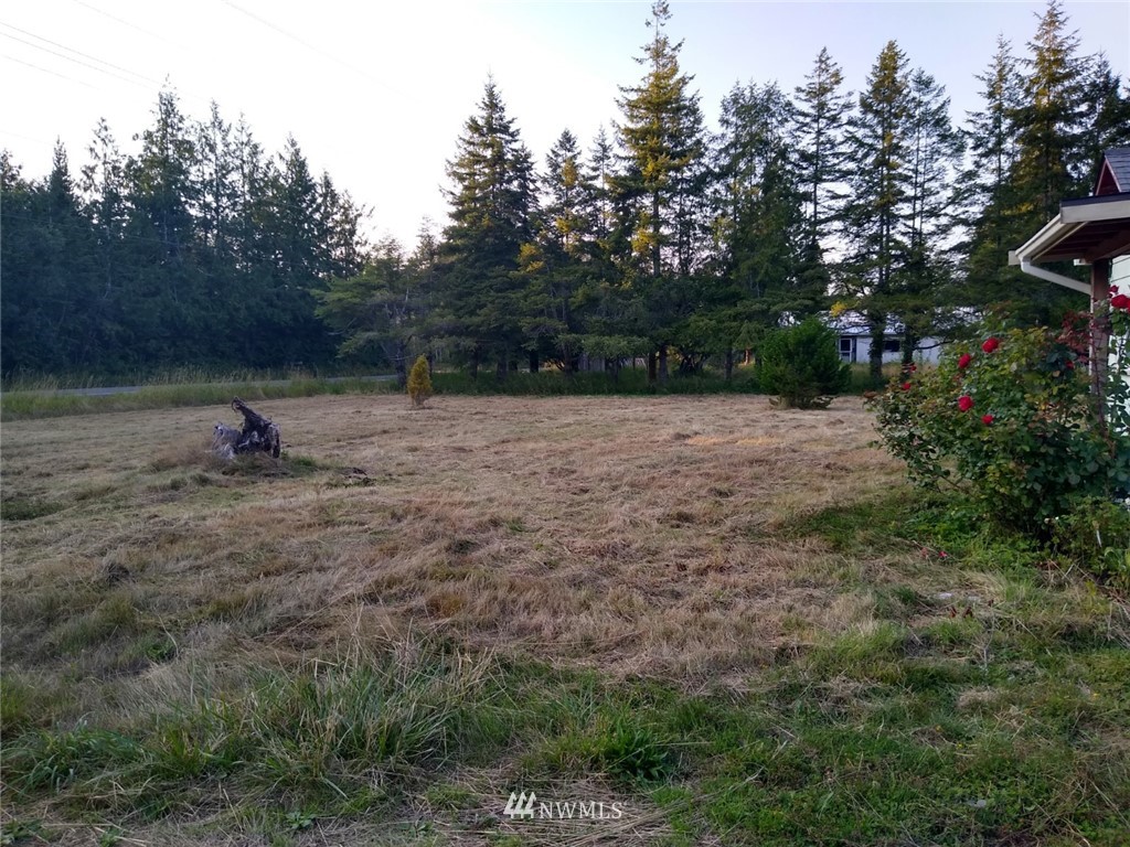 2054 Ocean Beach Road Copalis Crossing, WA 98536 - Photo 5 of 11 Gallery Image 5