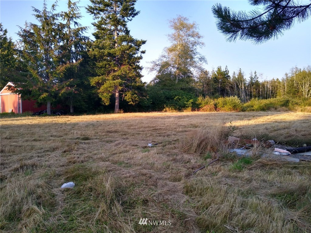 2054 Ocean Beach Road Copalis Crossing, WA 98536 - Photo 6 of 11 Gallery Image 6