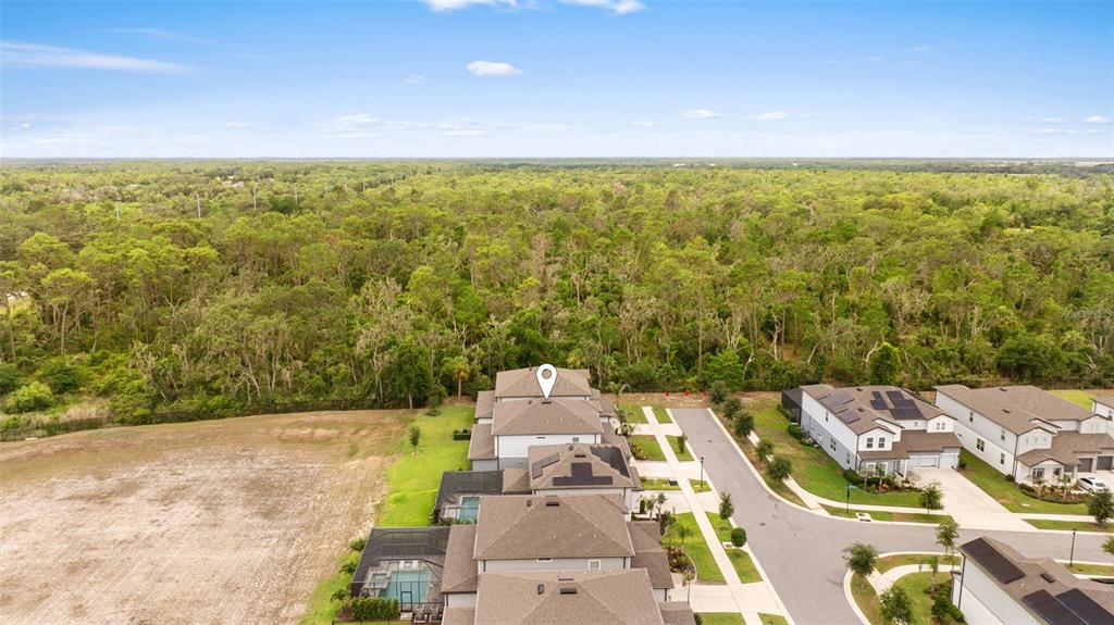 11490 Calusa Trails Way Riverview, FL 33569 - Photo 49 of 54