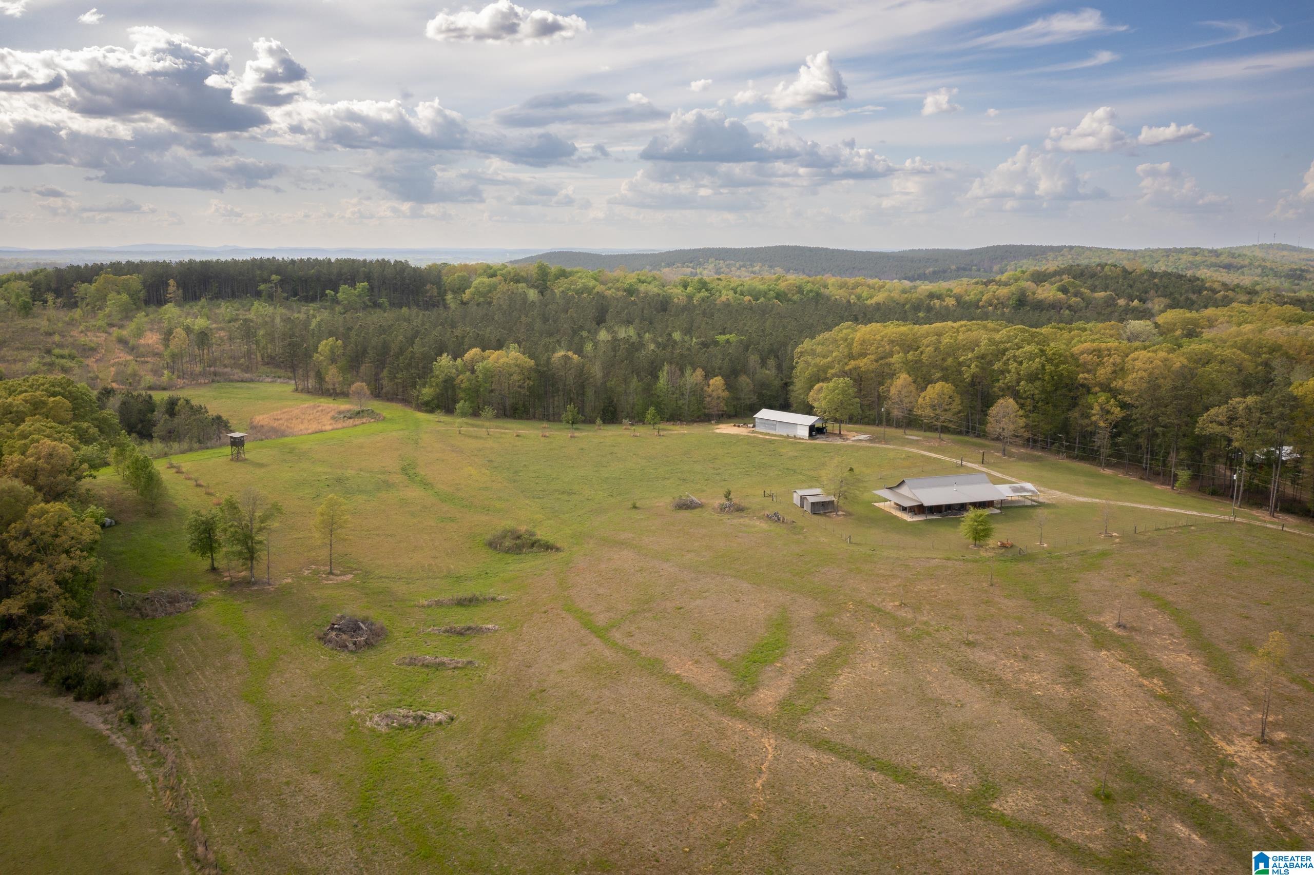 1325 Ledbetter Road Munford, AL 36268 - Photo 58 of 85