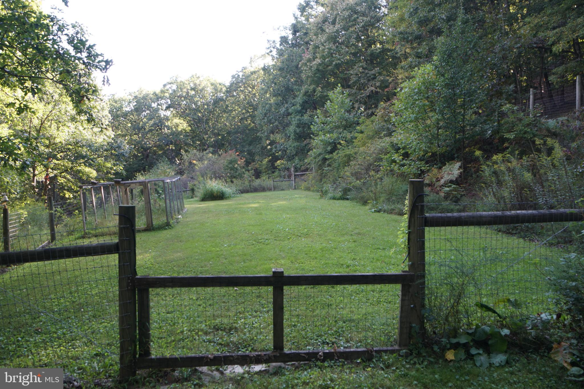 1537 Hidden Valley Road Franklin, WV 26807 - Photo 73 of 78 Serene green space embraced by nature.