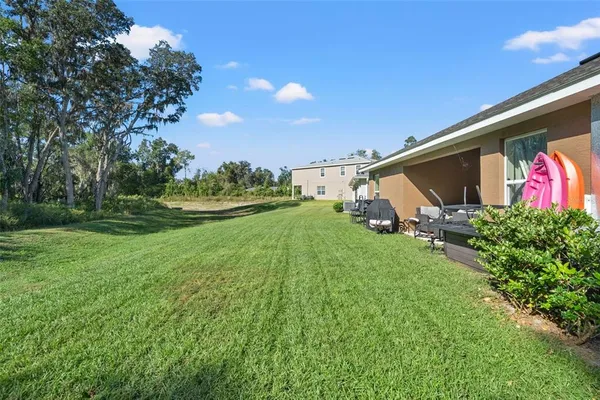 a view of a backyard with potted plants