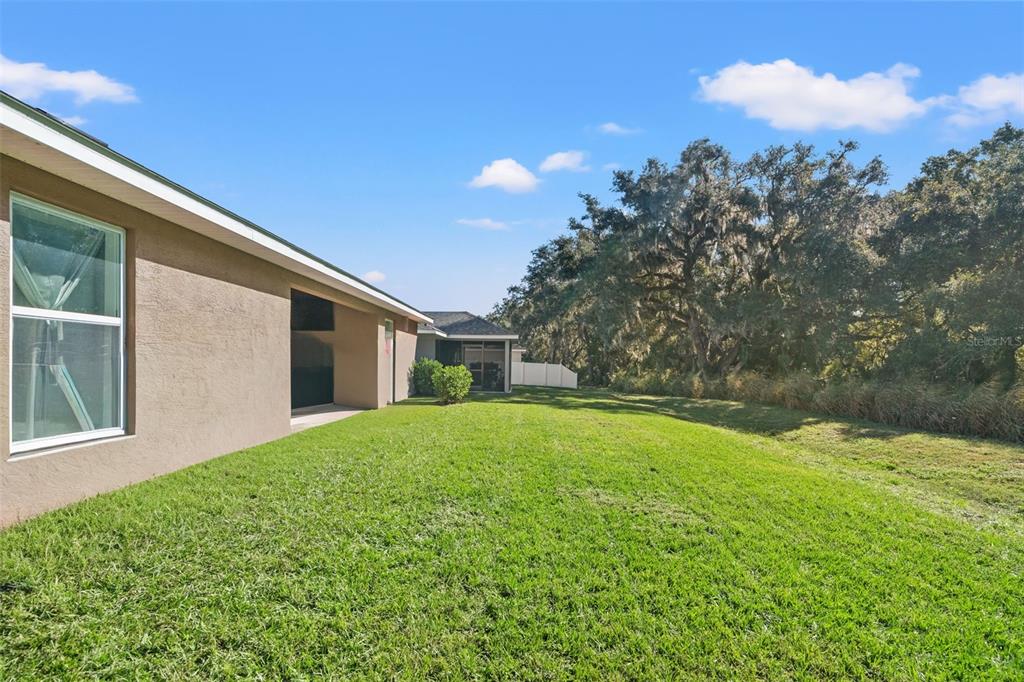 199 Bittern Loop Inverness, FL 34453 - Photo 6 of 36 a view of backyard with green space