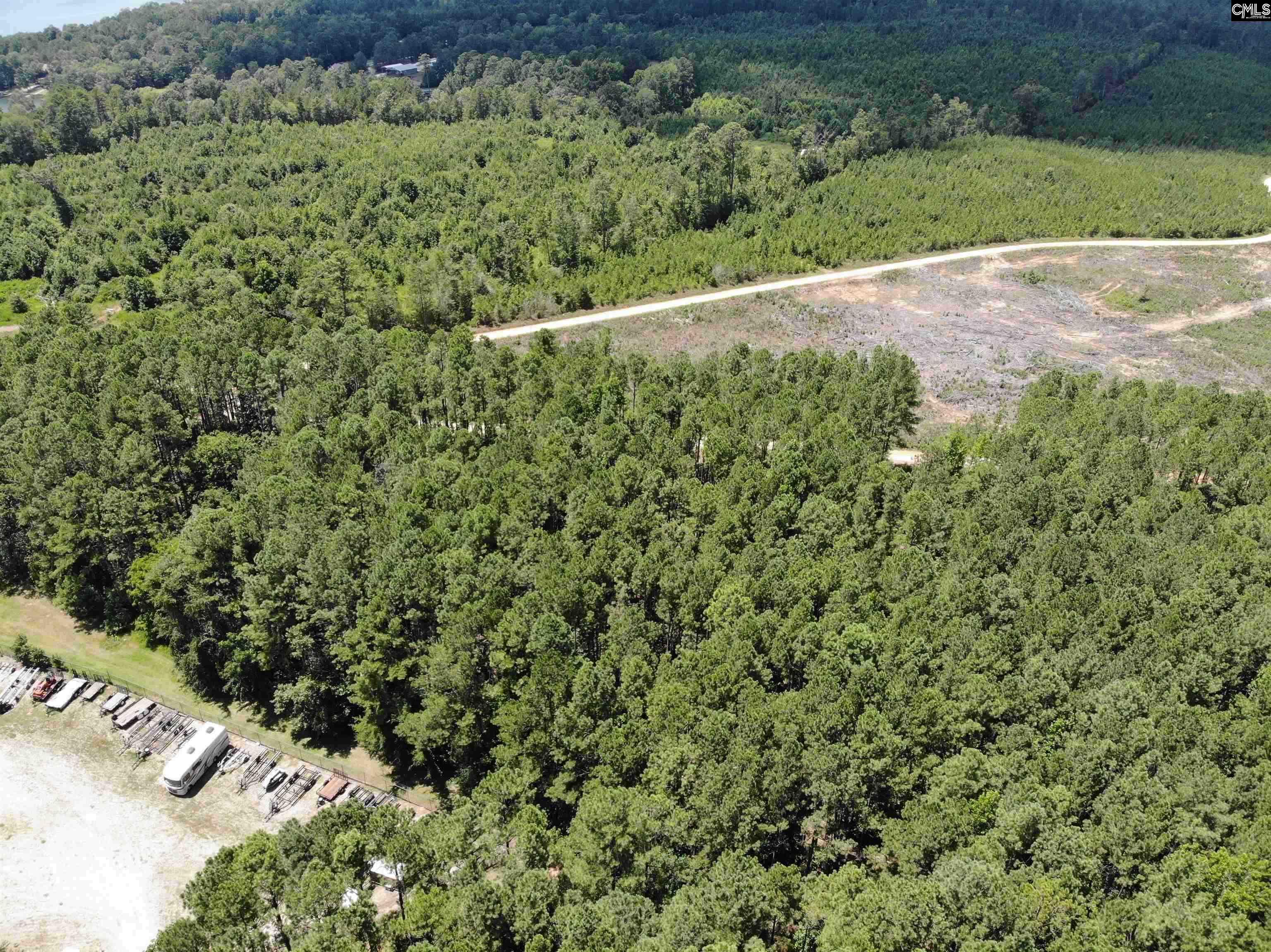 Lot 103 Pineland Road Chappells, SC 29037 - Photo 8 of 9