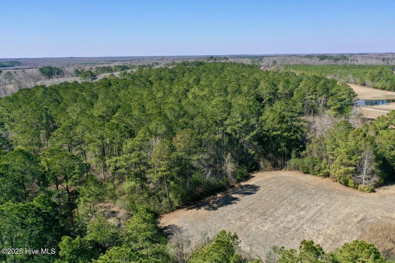 6494 River Road Vanceboro, NC 28586 - Photo 20 of 46 6824a00c9c561
