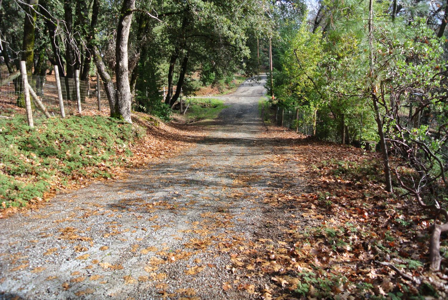 5577 Pine Ridge Road Foresthill, CA 95631 - Photo 15 of 15