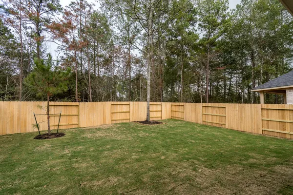 a view of a backyard