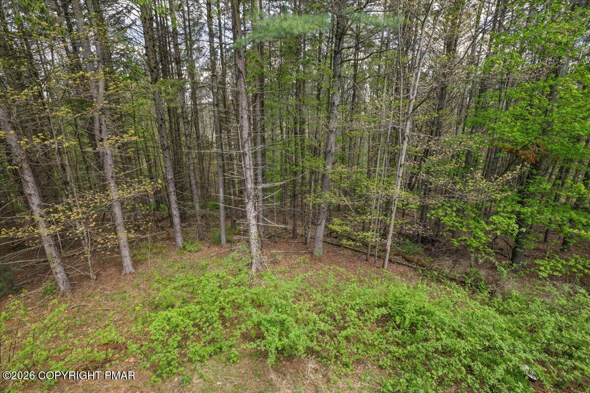 100 Comanche Pines Road Effort, PA 18330 - Photo 22 of 57 22-RBP50361