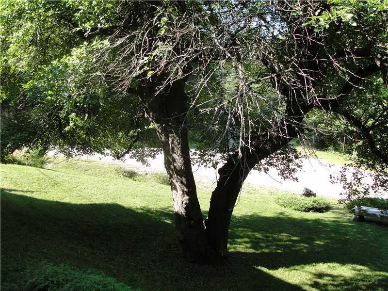 656 Waterford Road Harrison, ME 04040 - Photo 28 of 28 Yard/Garden. The yard is private and...