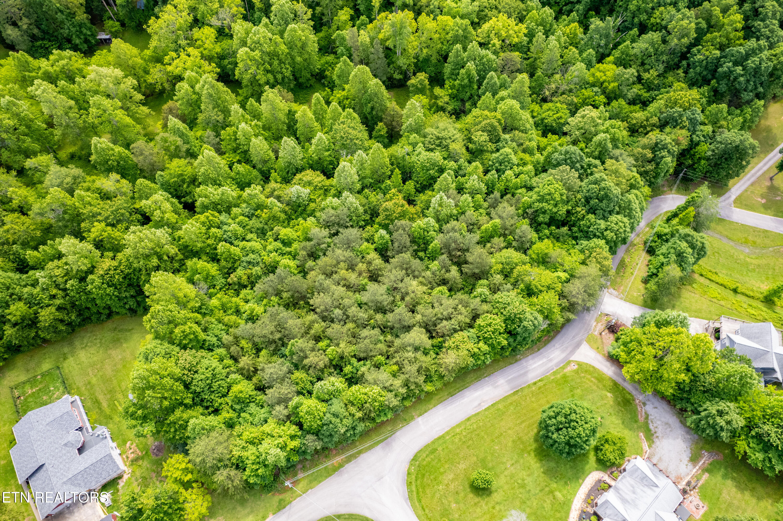 Deer Run Vonore, TN 37885 - Photo 13 of 18 .