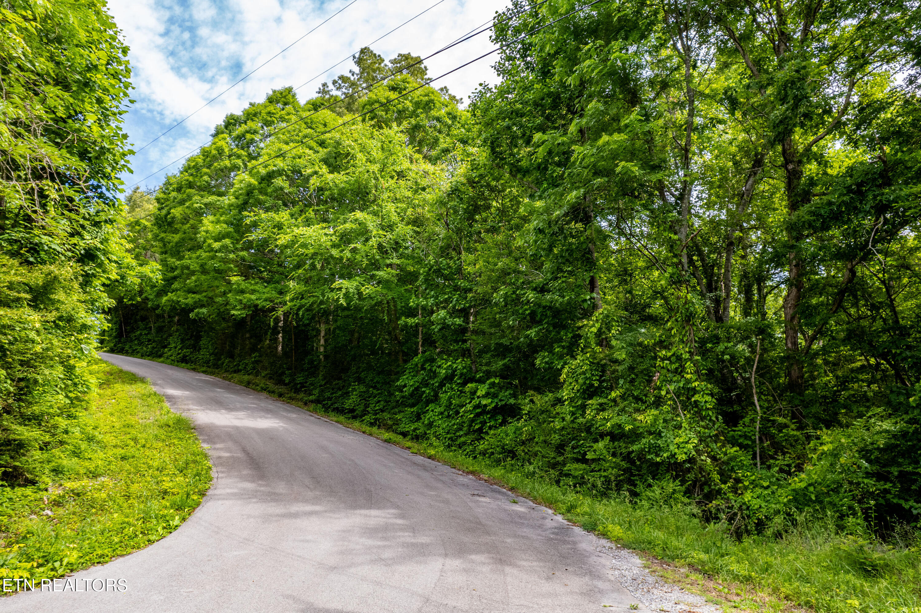 Deer Run Vonore, TN 37885 - Photo 16 of 18 .