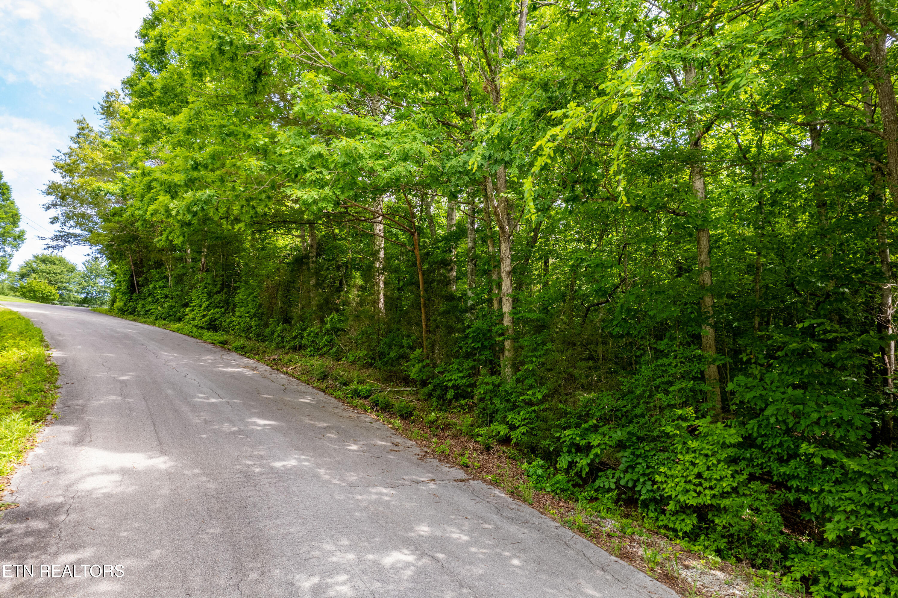 Deer Run Vonore, TN 37885 - Photo 17 of 18 .