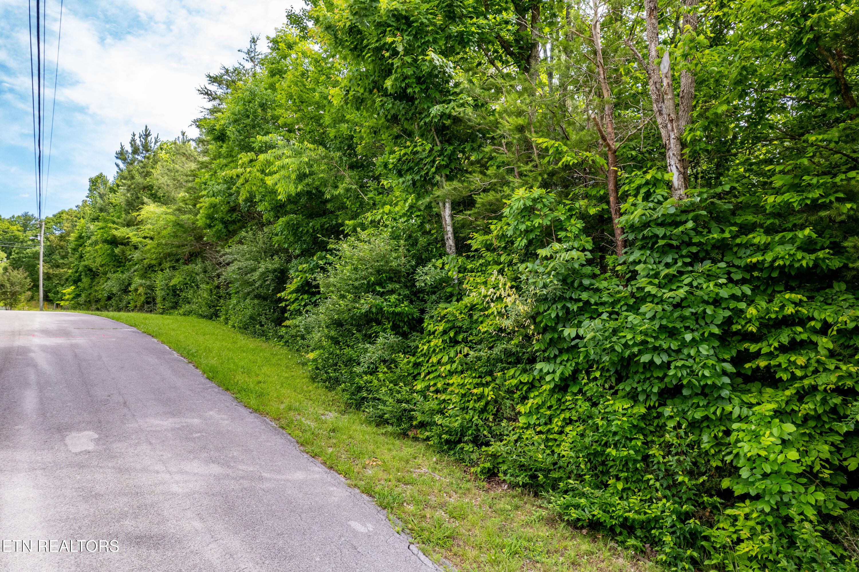 Deer Run Vonore, TN 37885 - Photo 18 of 18 .