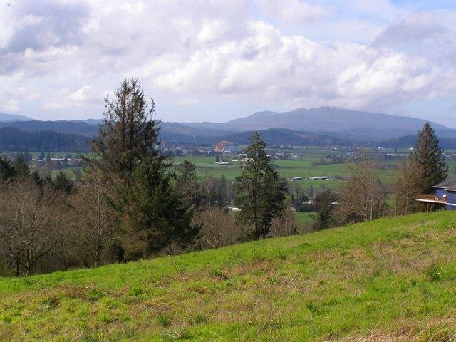 Lot 25 Skyview Road Tillamook, OR 97141 - Photo 5 of 21 P3180330.JPG