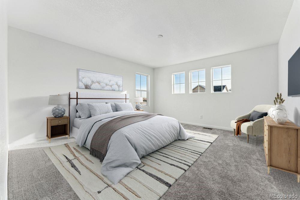 4304 Ridgewalk Point Castle Rock, CO 80108 - Photo 11 of 13 Gallery Image 11