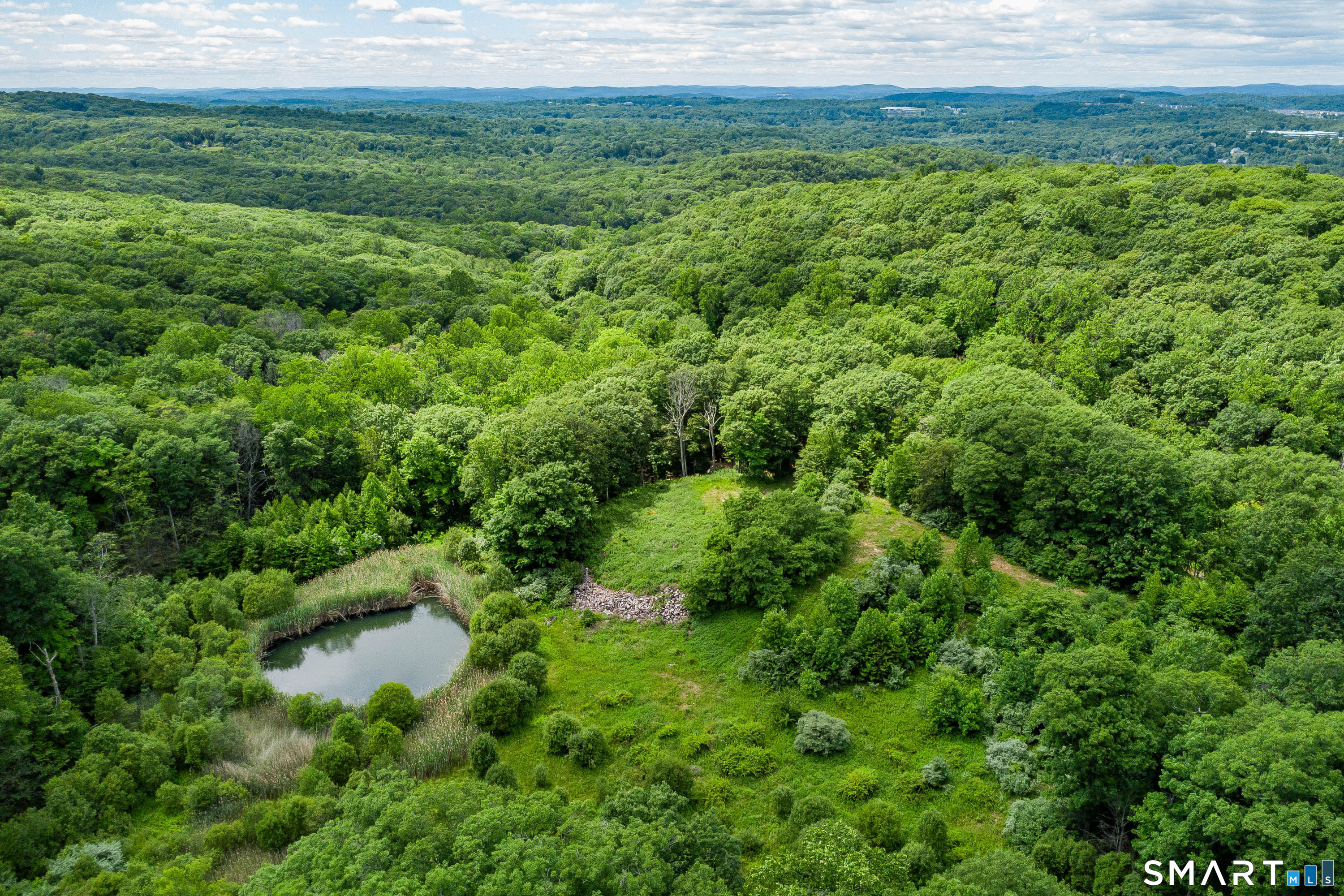 Ives Court Ridgefield, CT 06877 - Photo 8 of 22 a view of a lush green space