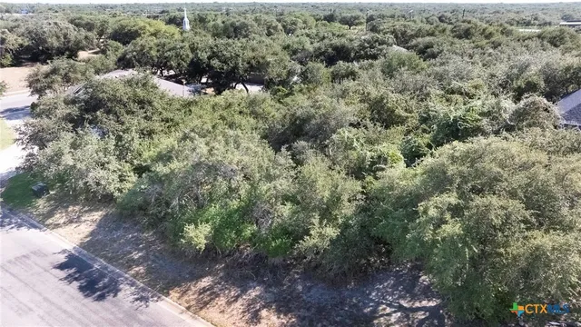 a view of a forest with a street