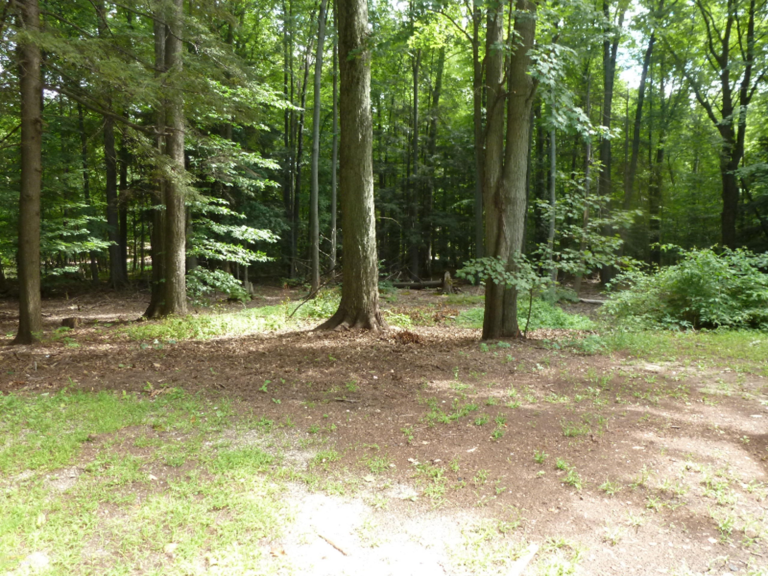 18246 West Spring Lake Road Spring Lake, MI 49456 - Photo 6 of 21 9-Back Yard