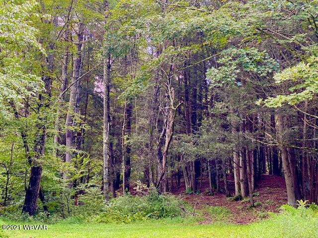 520 Splash Dam Road Forksville, PA 18616 - Photo 11 of 13 Gallery Image 11