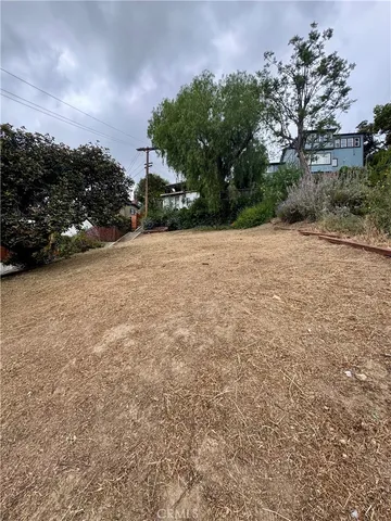 a view of a field with plants and trees