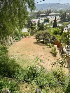 a view of a yard with plants and large trees