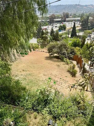 a view of a yard with plants and large trees