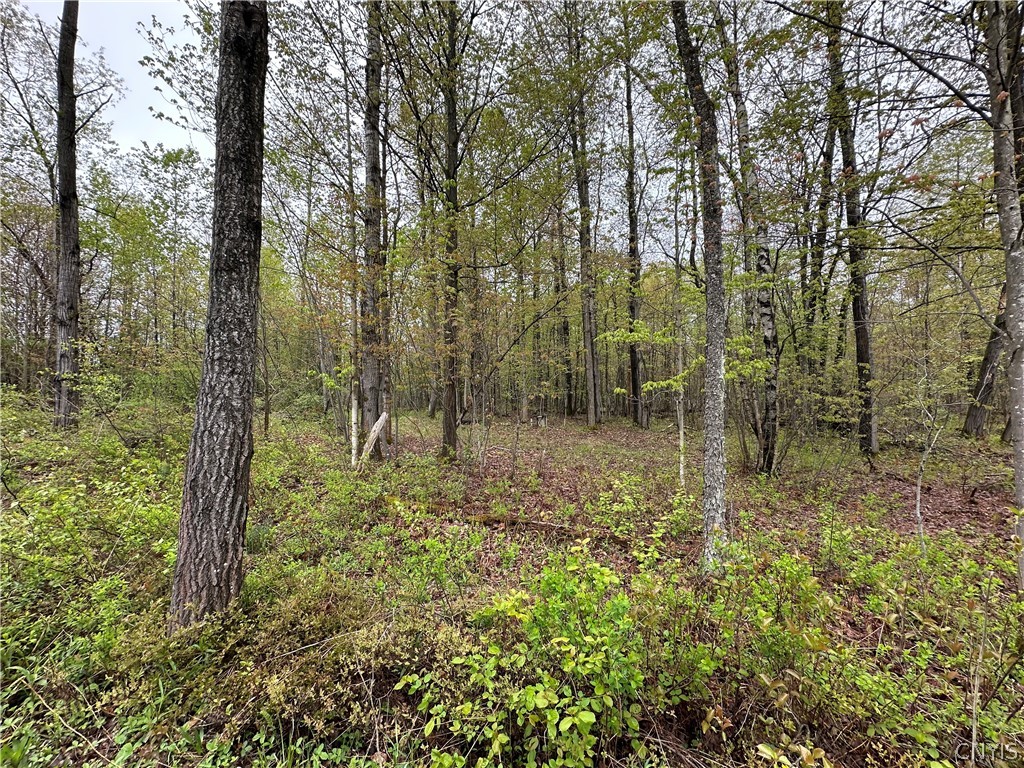 4815 Texas Road Croghan, NY 13619 - Photo 19 of 19