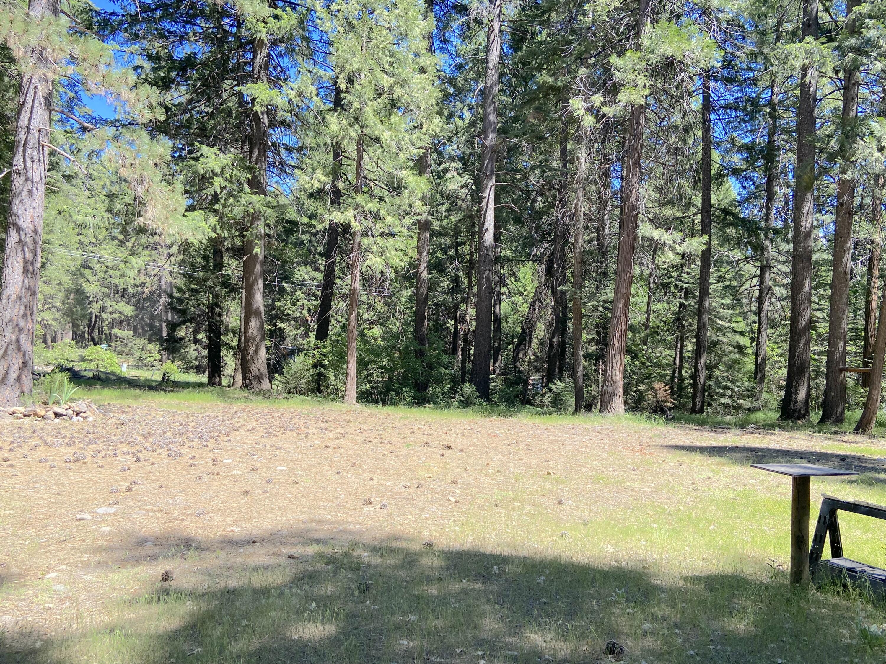 33117 Sites Road Shingletown, CA 96088 - Photo 15 of 23 a view of a yard with a tree