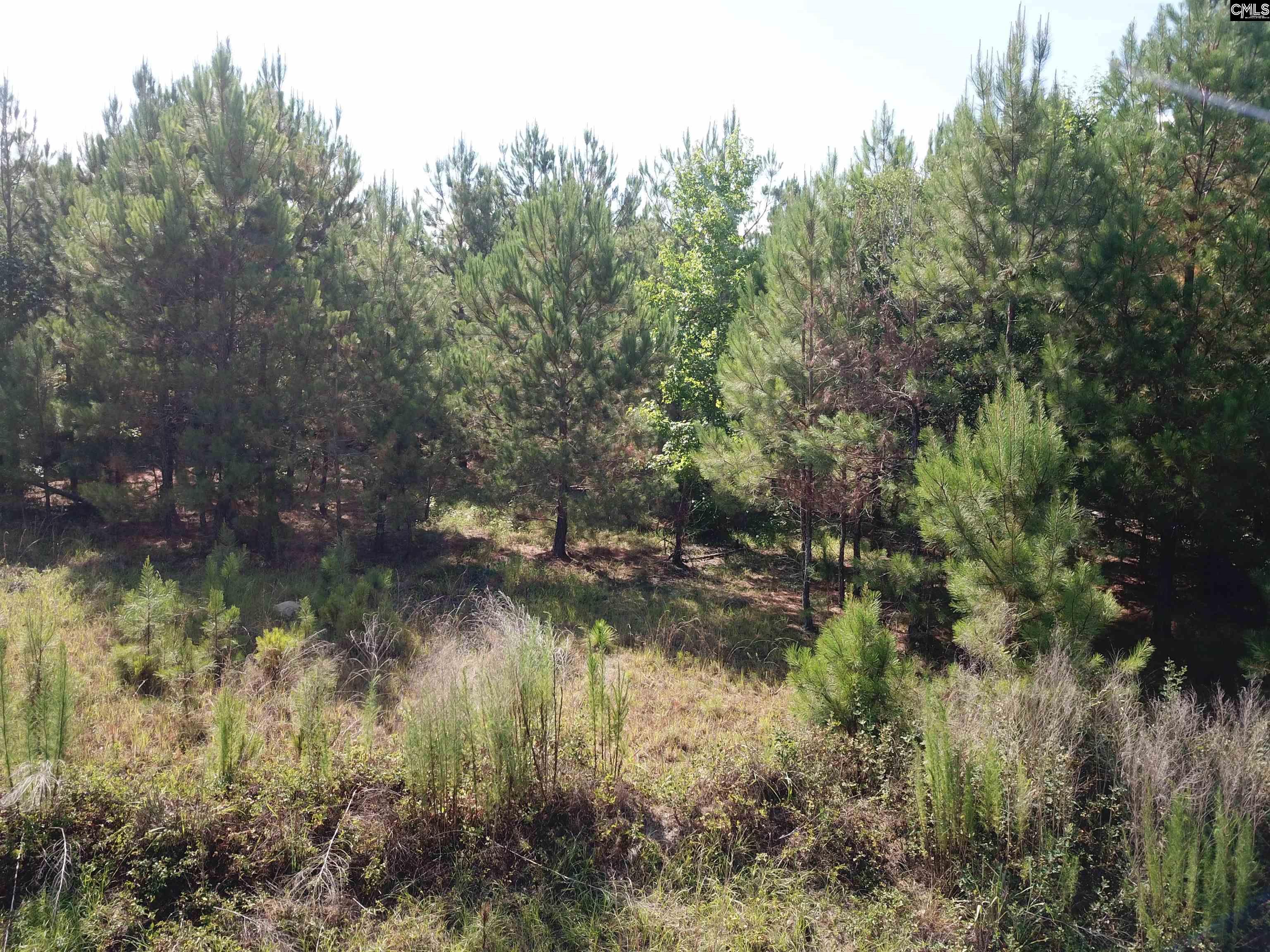 5051 Springhill Road Rembert, SC 29128 - Photo 6 of 6
