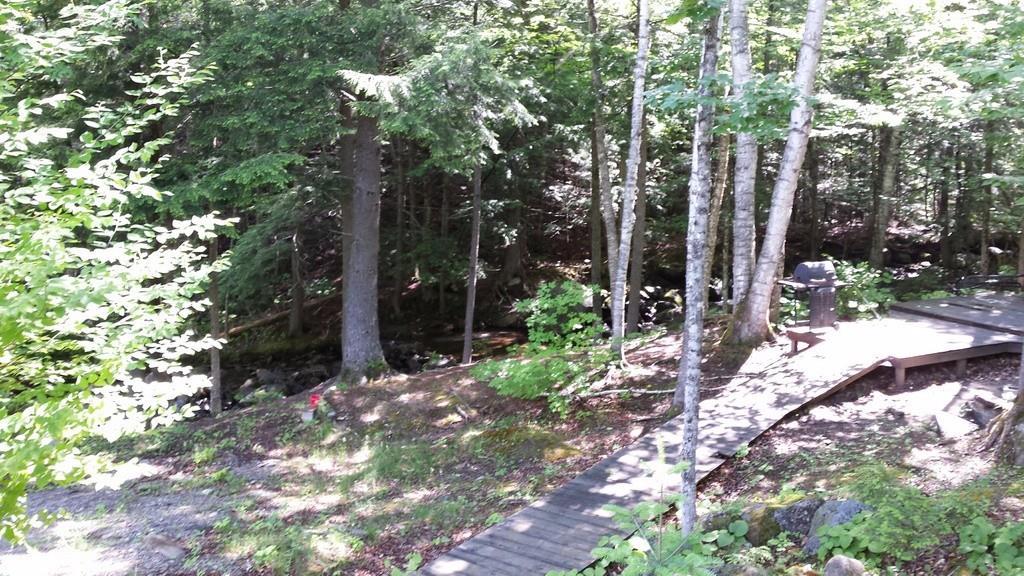 15 Pope Mountain Road Avon, ME 04966 - Photo 7 of 10 Photo