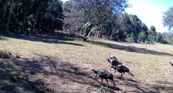 $275,000 | 1002 Bankers Road, Lorida, FL 33857