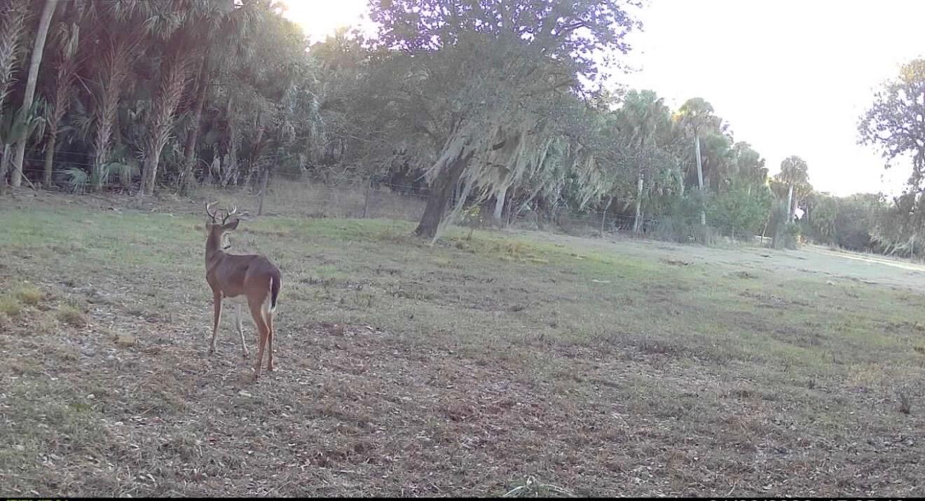 1002 Bankers Road Lorida, FL 33857 - Photo 12 of 12 IMG_0450